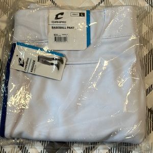 Mens baseball pants.